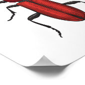 キクイムシ ポスター (角)