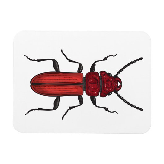 キクイムシ マグネット (横)