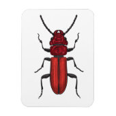 キクイムシ マグネット (縦)