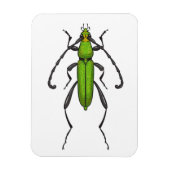 キクイムシ マグネット (縦)