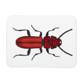 キクイムシ マグネット (横)