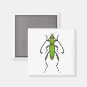 キクイムシ マグネット (正面/裏面)