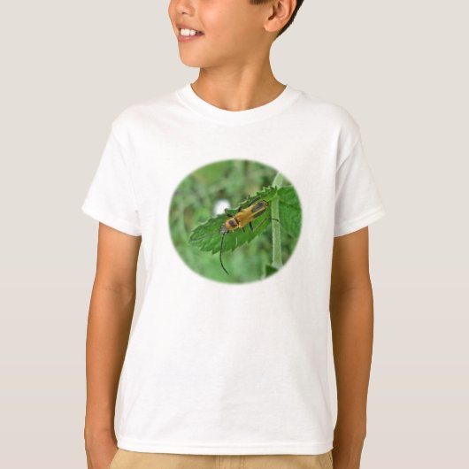 キクイムシ Tシャツ (正面)