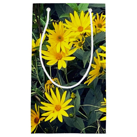 キクイモの花 スモールペーパーバッグ (正面)