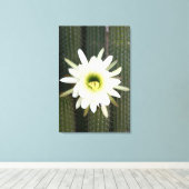 キクイーンオブザナイトサボテンの花、Karoo地域 キャンバスプリント (インサイチュ (ウッドフロア))