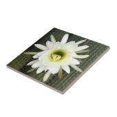 キクイーンオブザナイトサボテンの花、Karoo地域 タイル (側面)