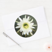 キクイーンオブザナイトサボテンの花、Karoo地域 ラウンドシール (封筒)