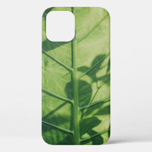 キク科の葉 iPhone 12ケース