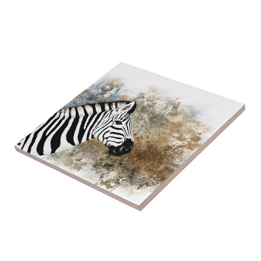 キク科ゼブラ タイル (側面)