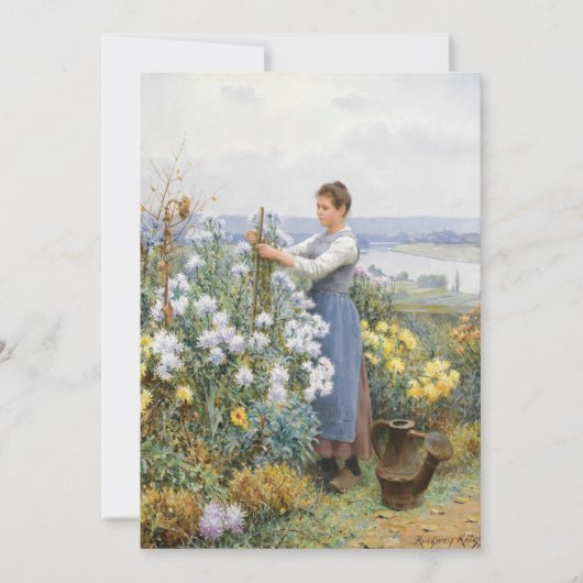 キク | ダニエル・リッジウェイ・ナイト (正面)