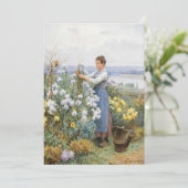 キク | ダニエル・リッジウェイ・ナイト (スタンド正面)