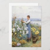 キク | ダニエル・リッジウェイ・ナイト (正面/裏面)