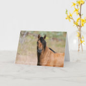 キゲールスタリオングリーティングカード カード (黄色い花)