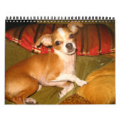 キコ暦 カレンダー (カバー)