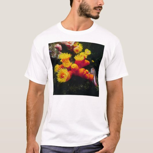 キサンゴ Tシャツ (正面)