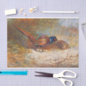 キザントバイアーチバルトースバーン 薄葉紙 (クラフト)