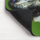 キシロコパアイリス マウスパッド (コーナー)