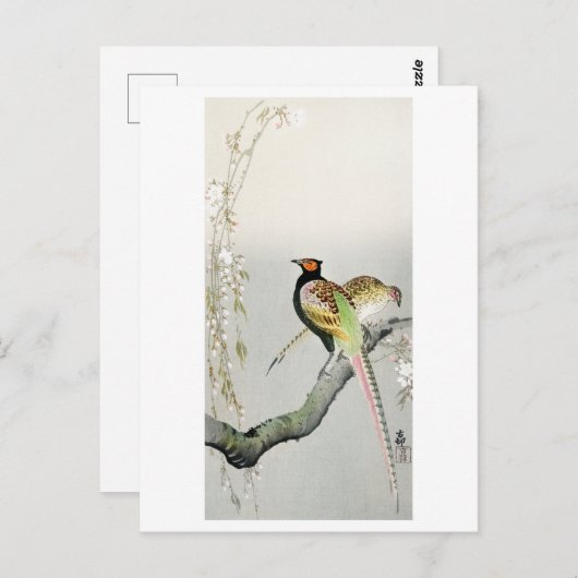 キジとさくらんぼの花 – 大原小村 –  ポストカード (正面/裏面)