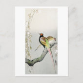 キジとさくらんぼの花 – 大原小村 –  ポストカード (正面)