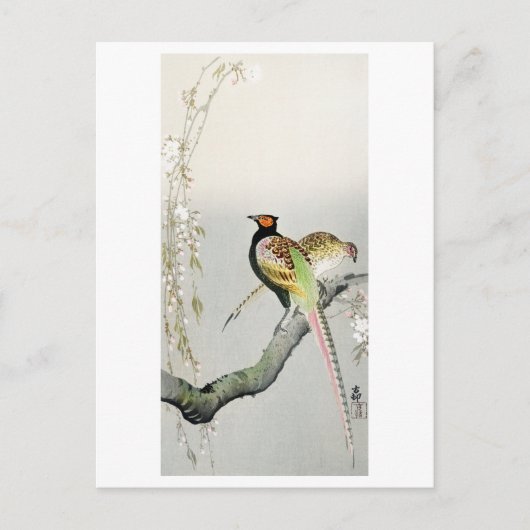 キジとさくらんぼの花 – 大原小村 –  ポストカード (正面)