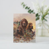 キジとアイリッシュセッターズパッション狩り シーズンポストカード (スタンド正面)