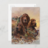キジとアイリッシュセッターズパッション狩り シーズンポストカード (正面/裏面)