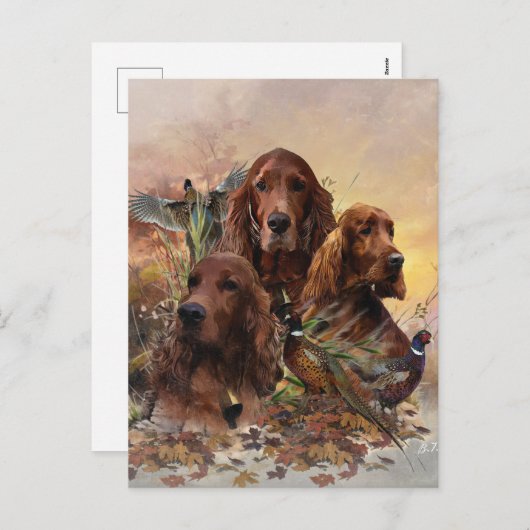 キジとアイリッシュセッターズパッション狩り シーズンポストカード (正面/裏面)