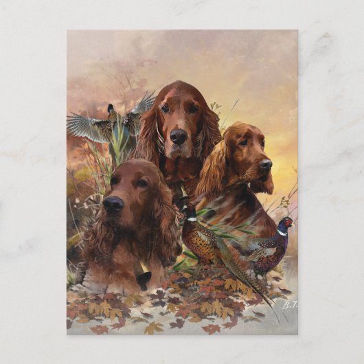 キジとアイリッシュセッターズパッション狩り シーズンポストカード (正面)