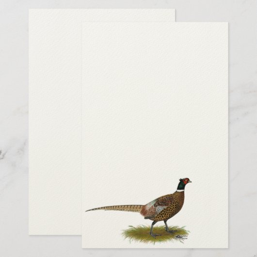 キジのオンドリ 便箋 (正面/裏面)