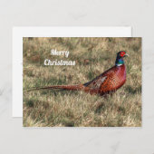 キジのクリスマスの郵便はがき ポストカード (正面/裏面)