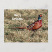 キジのクリスマスの郵便はがき ポストカード (正面)