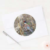 キジのシール ラウンドシール (封筒)