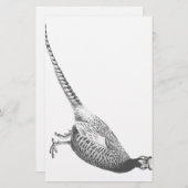 キジのスケッチ 便箋 (正面/裏面)