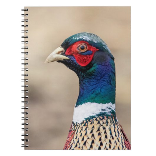 キジのポートレート ノートブック (正面)