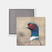 キジのポートレート マグネット (正面/裏面)