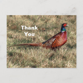 キジの写真ありがとう ポストカード