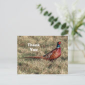 キジの写真に感謝 ポストカード (スタンド正面)