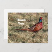 キジの写真に感謝 ポストカード (正面/裏面)