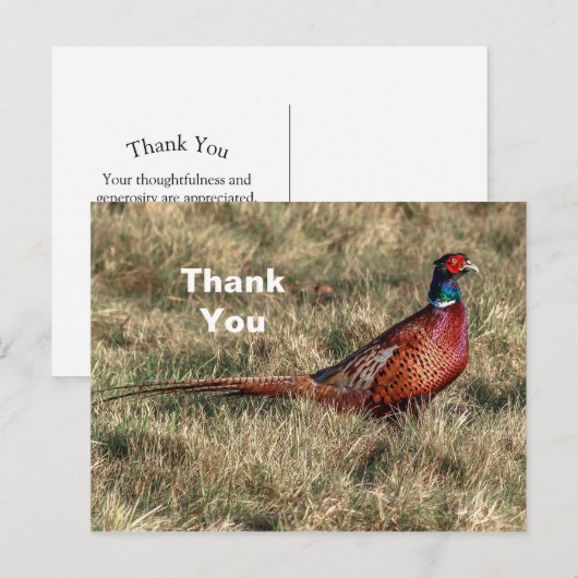 キジの写真に感謝 ポストカード (正面/裏面)