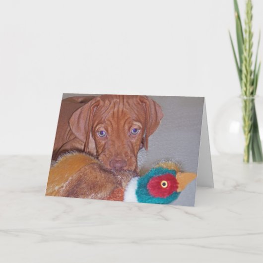 キジの挨拶状(写真)を持つVizslaの子犬 カード (正面)
