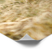 キジの求愛 ポスター (角)