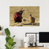 キジの求愛 ポスター (ホームオフィス)