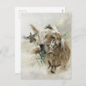 キジの美しいセッター,アート シーズンポストカード (正面/裏面)