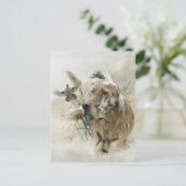 キジの美しいセッター,アート ポストカード (スタンド正面)