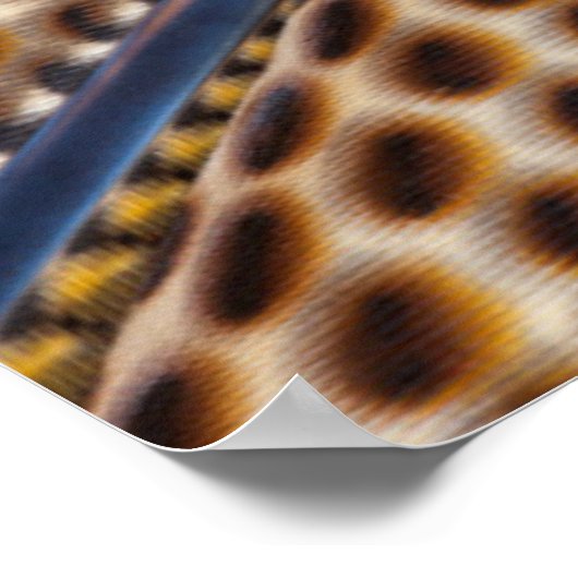 キジの羽毛万華鏡のように千変万化するパターン ポスター (角)