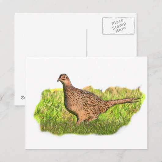 キジの雌 ポストカード (正面/裏面)