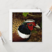 キジの頭の写真付きグリーティングカード カード (正面/裏面インサイチュ)