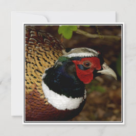 キジの頭の写真付きグリーティングカード カード