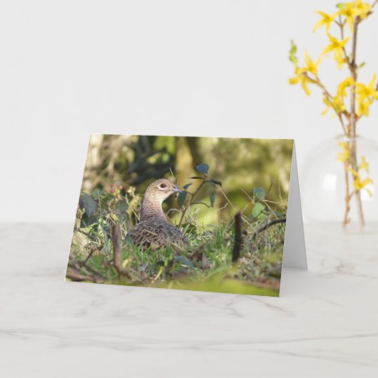 キジの鳥 カード (黄色い花)