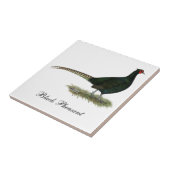 キジの黒いオンドリ タイル (側面)